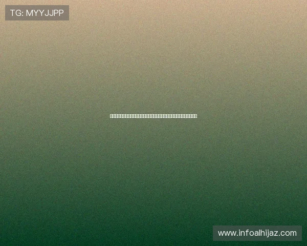 星空体育真人客户端提供全面世界杯直播和赛事分析满足球迷多样化观看需求